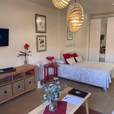 Apartamento Acogedor y Céntrico - Plaza del Charco Puerto de la Cruz  Exterior foto